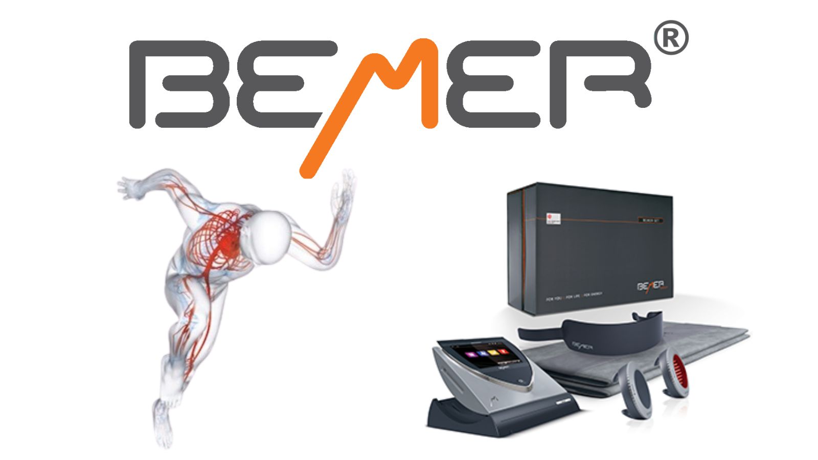 Logo de BEMER — Nicole Haché